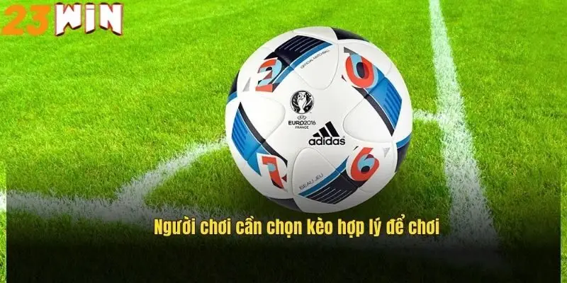 nguoi-choi-can-chon-keo-chap-mot-trai-ruoi-hop-ly-de-choi