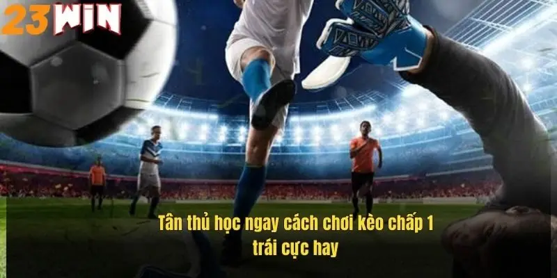 tan-thu-hoc-ngay-cach-choi-keo-chap-mot-trai-cuc-hay